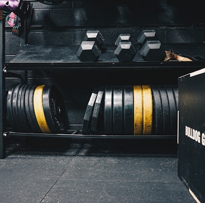 A gym setting featuring various fitness equipment, including kettlebells, stacked weight plates on a rack, dumbbells, and a medicine ball. The gym has a rugged, industrial vibe with black walls and a Bulldog Gear plyo box.